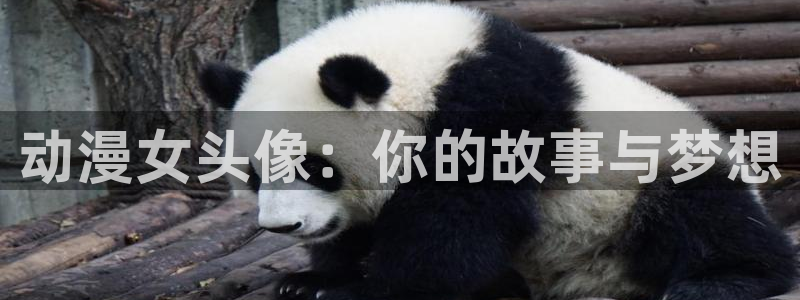 喵趣漫画排行：动漫女头像：你的故事与梦想配图