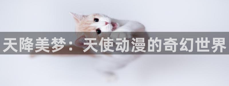 喵趣漫画高分漫画：天降美梦：天使动漫的奇幻世界配图