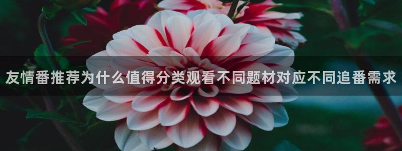 喵趣漫画手机在线看:友情番推荐为什么值得分类观看不同题材对应不同追番需求配图